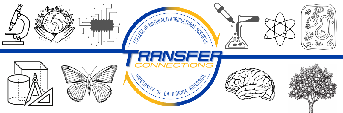 Header of CNAS Transfer Connections with Logo 